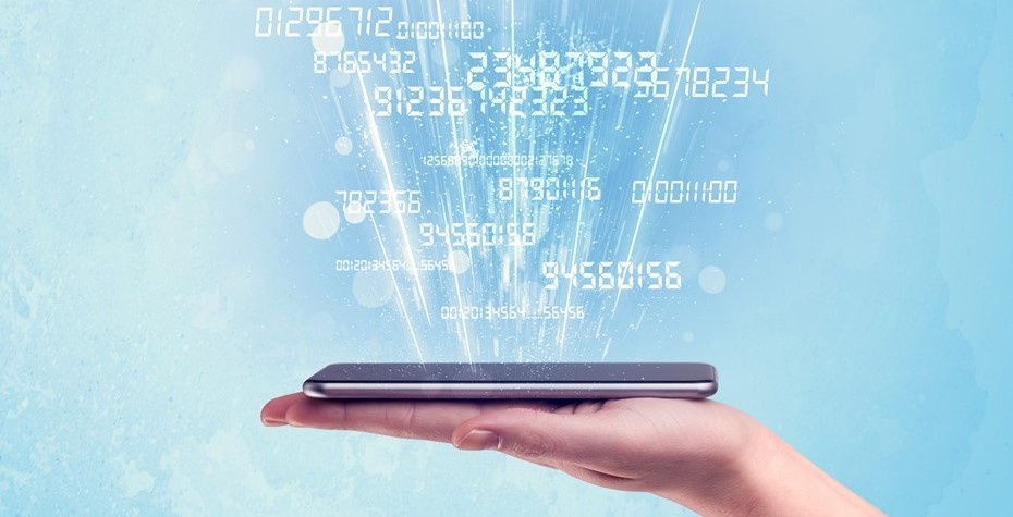    Автор фото: vostock-photo