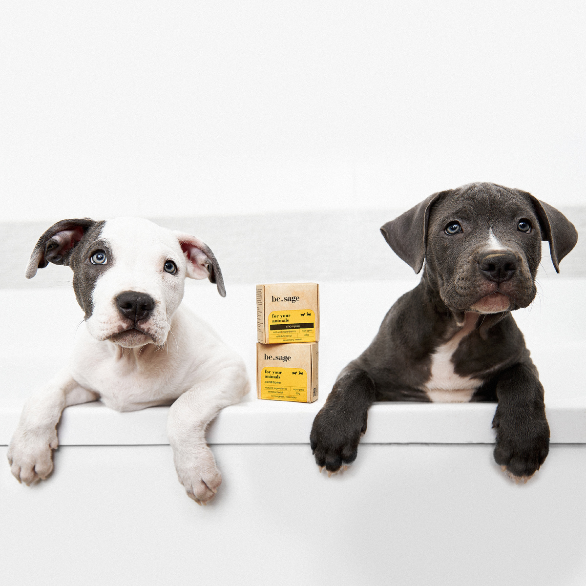 На фото: твердый шампунь и твердый кондиционер для животных be.sage