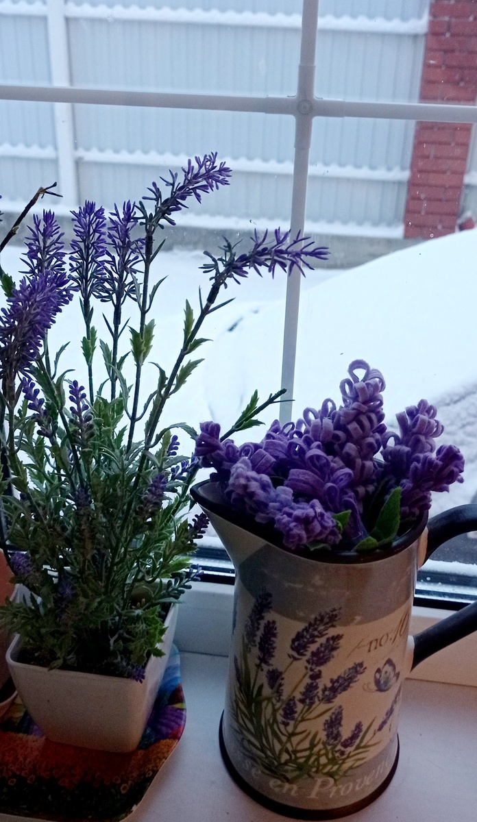 Фото 2022 г. Полный прованс