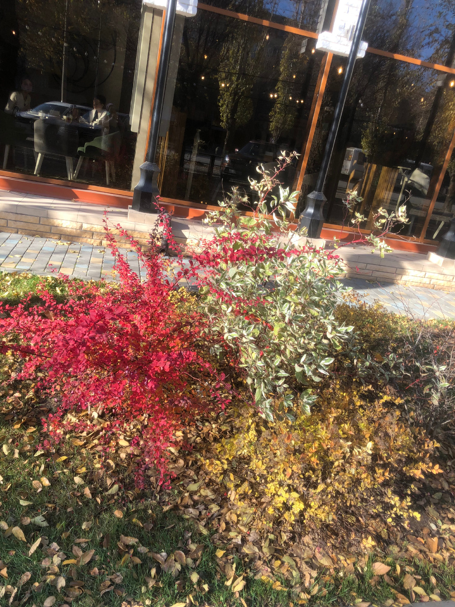 Это мои фото в городе