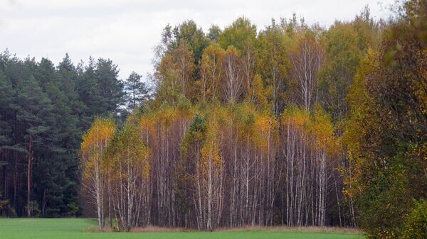    © Sputnik / Виктор Драчев