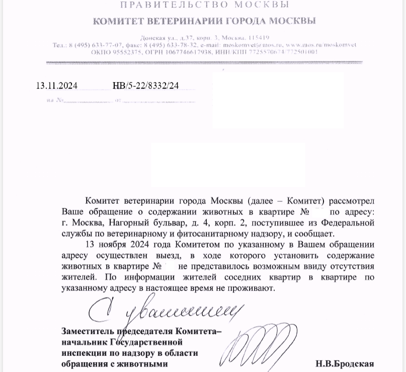 скрин автора https://dzen.ru/a/ZzUMTNuQtEwqzojC