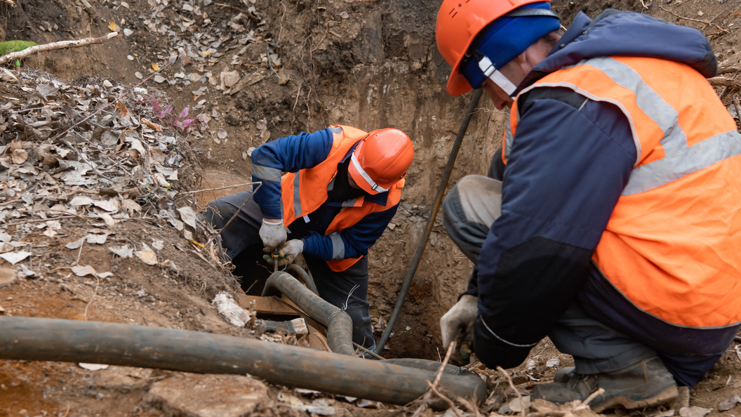    Oleg Spiridonov/Business Online