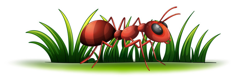 Рисунок с vectorstock.com для примера