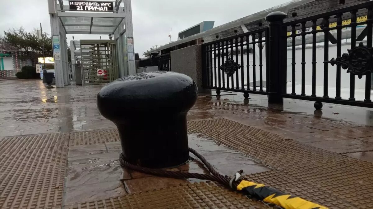     Источник: rostovgazeta.ru