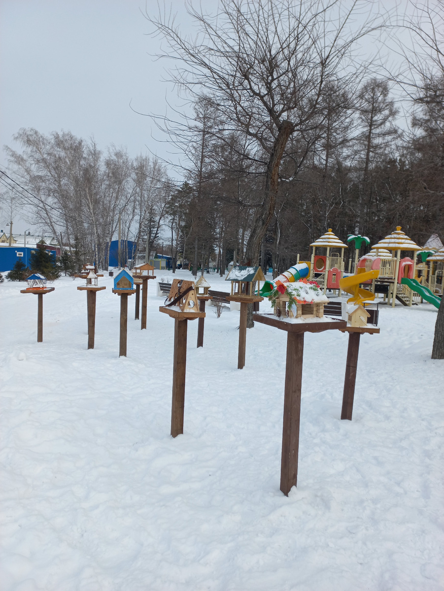 Столовая для птиц в парке