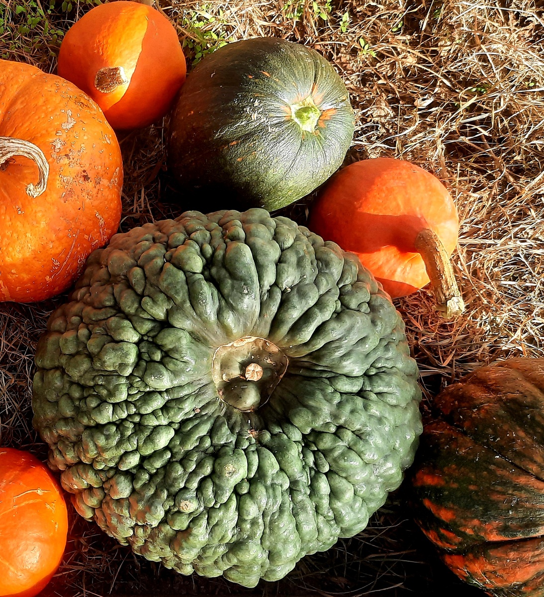 Марина из Киоджа.