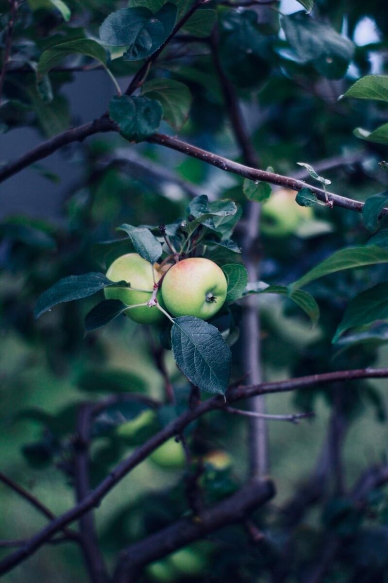 Фото из личного архива 