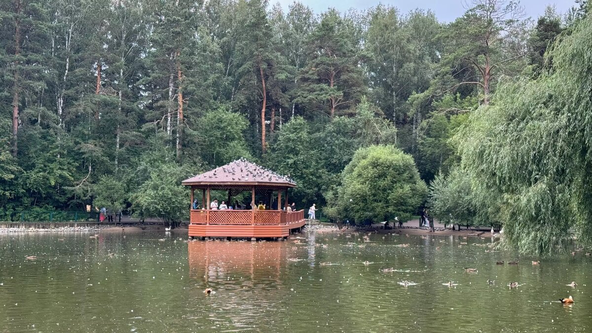     Автор: Эмилия Губарева Источник: atas.info