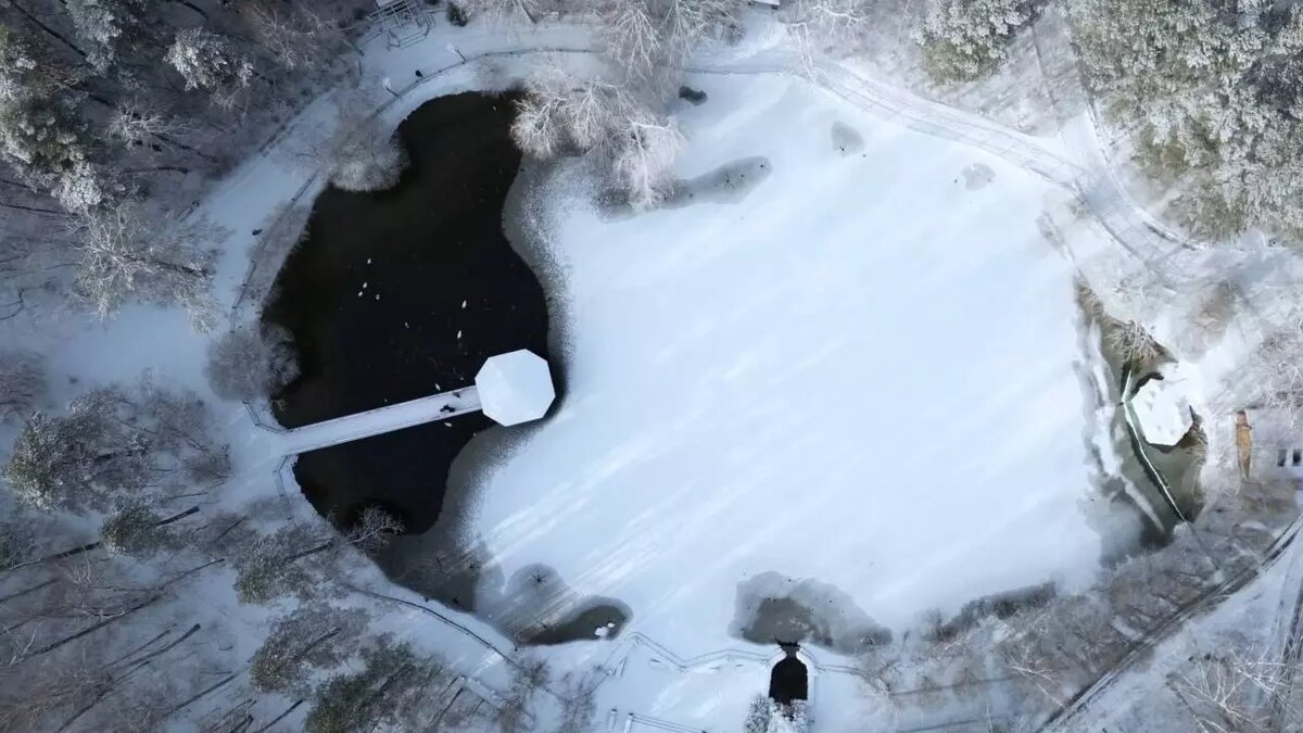     Источник: Новосибирский зоопарк