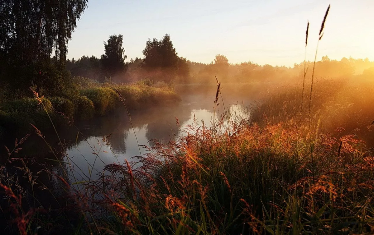 Яндекс Картинки.