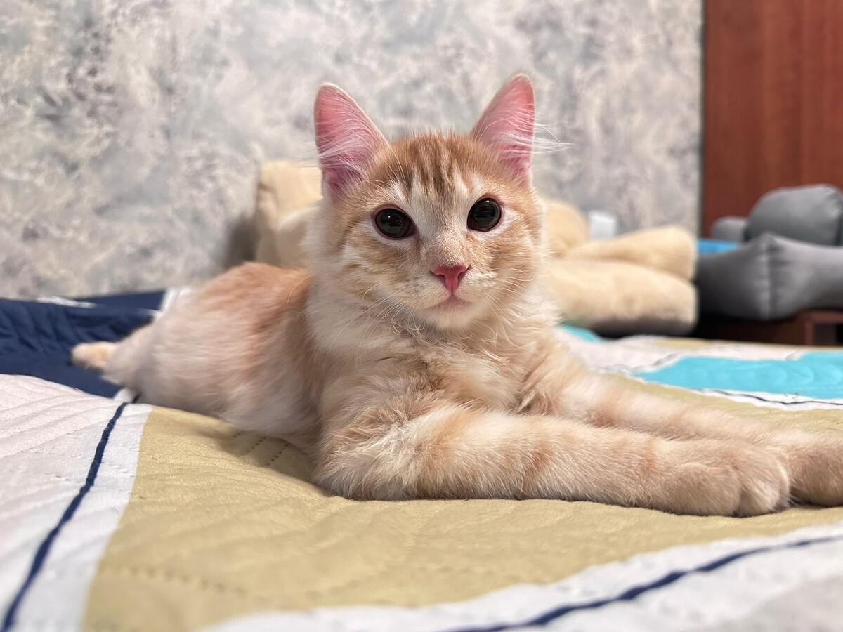 Короткая передышка перед новой волной активности. Фото Виктории Лерман.