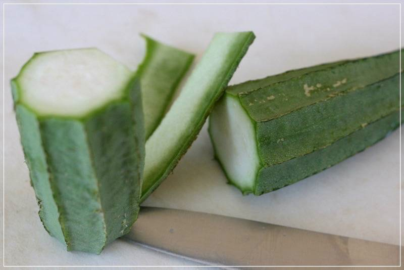 Люффа остроребристая (низкополигональная) 