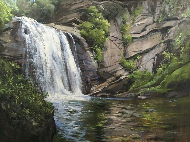 Художник Томас Аколе