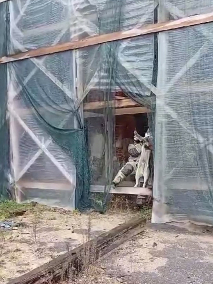     Фото: МЧС России