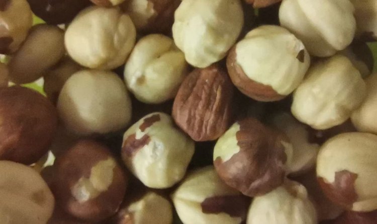    Фундук и грецкий орех выращивают на Аляске энтузиасты