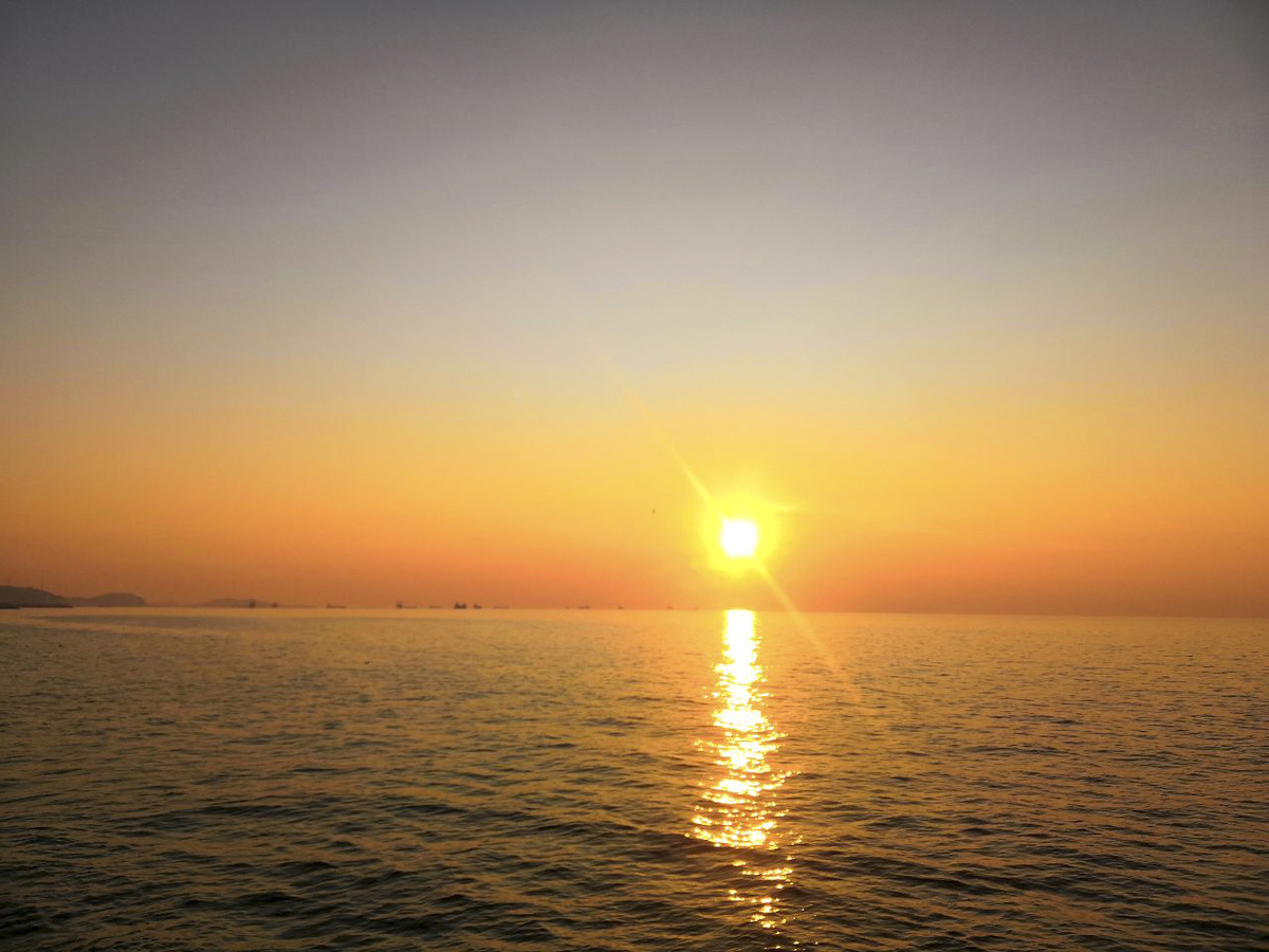 На пляже во Владивостоке нашли мертвого оленя.  Фото: ФедералПресс / Анна Миронова