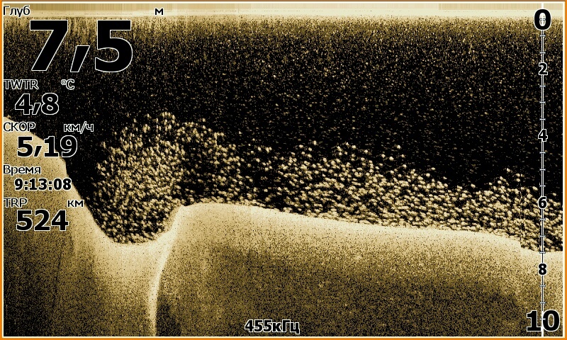 Большая стая белой рыбы в эхолоте