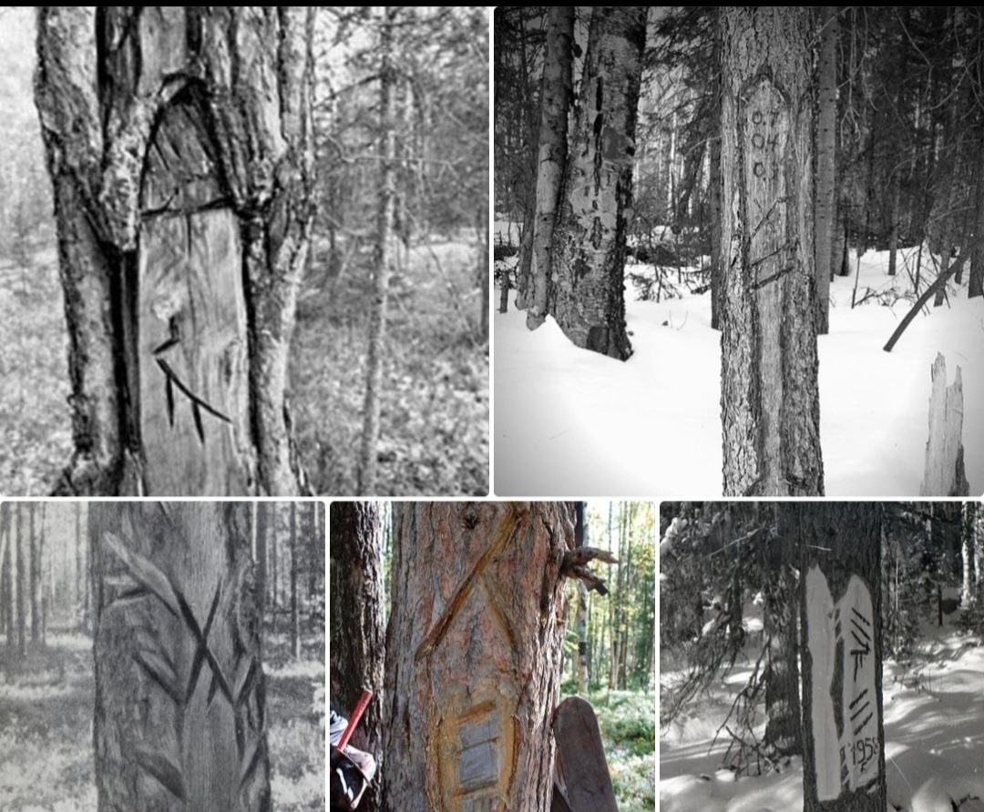 Катапосы. На втором фото есть цифры