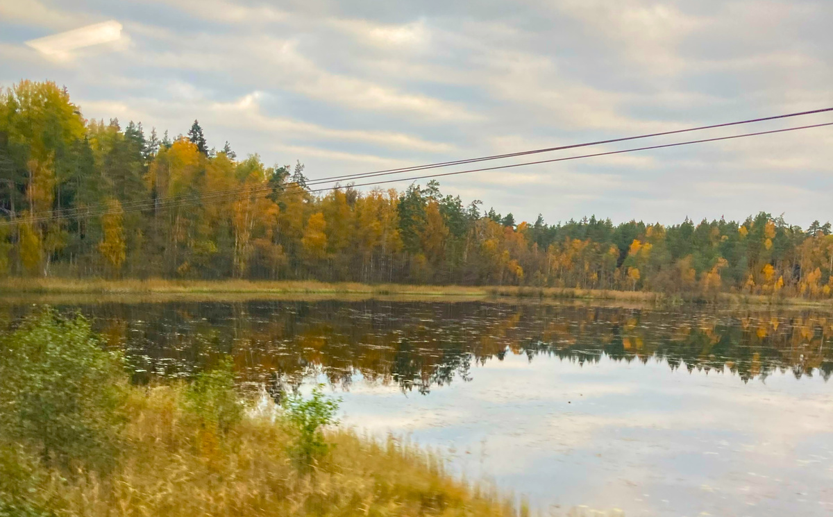 Осенние пейзажи за окном "Ласточки"