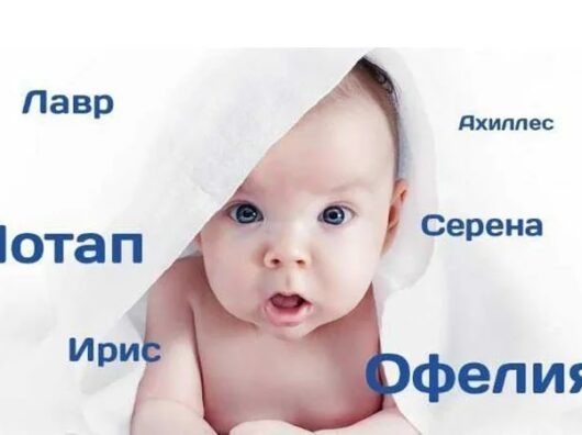    // фото: курганинские-известия.рф