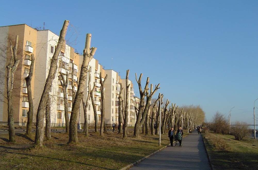 Топпинг — это не омолаживающая обрезка