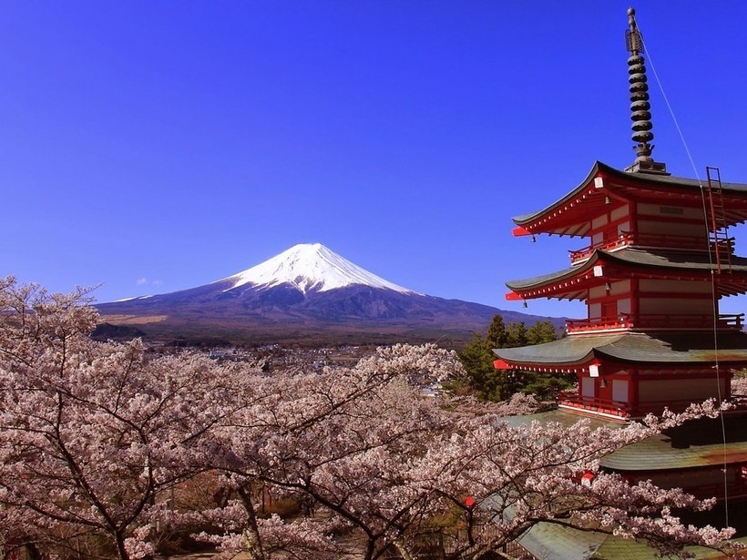 Фудзияма, пагода и сакура. Иллюстрация из общего доступа.