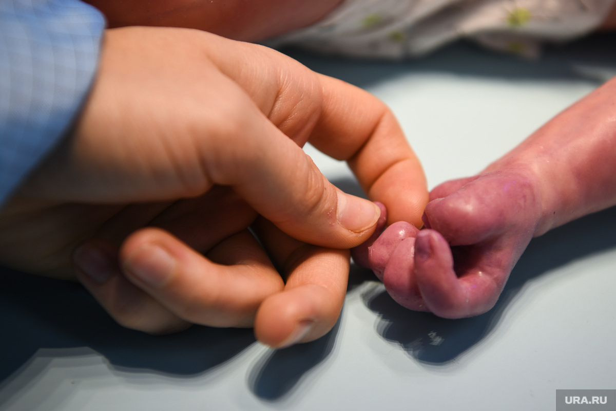 Прибавление в семье, где случилась ужасная трагедия, даст толчок к обретению смысла жить дальше. Фото: Владимир Жабриков © URA.RU