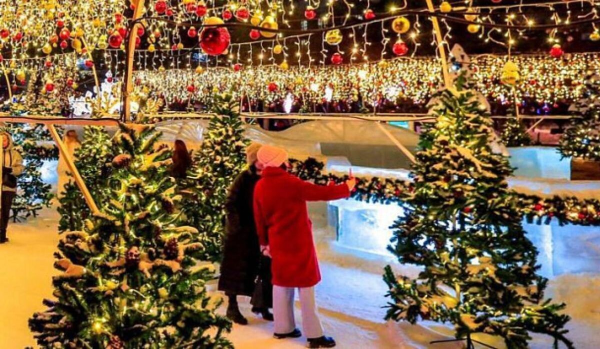     Люди возле елок. Источник: nsktv.ru Автор фото: Екатерина Чернобыкина