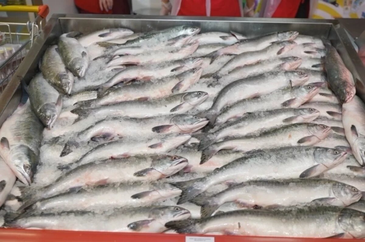    На Камчатке продают рыболовные участки вместе с членами родовой общины