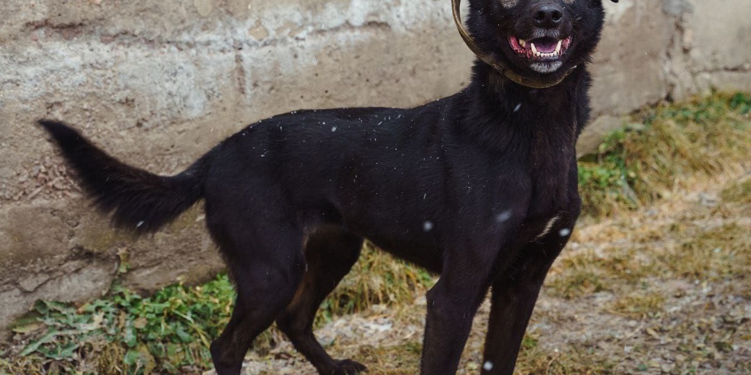 В приюте с самого детства...
