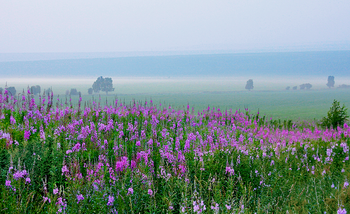 Фотография, стихотворение Василия Глуцкого