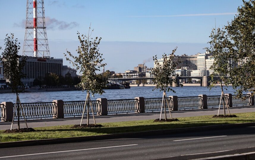    комитет по благоустройству Петербурга