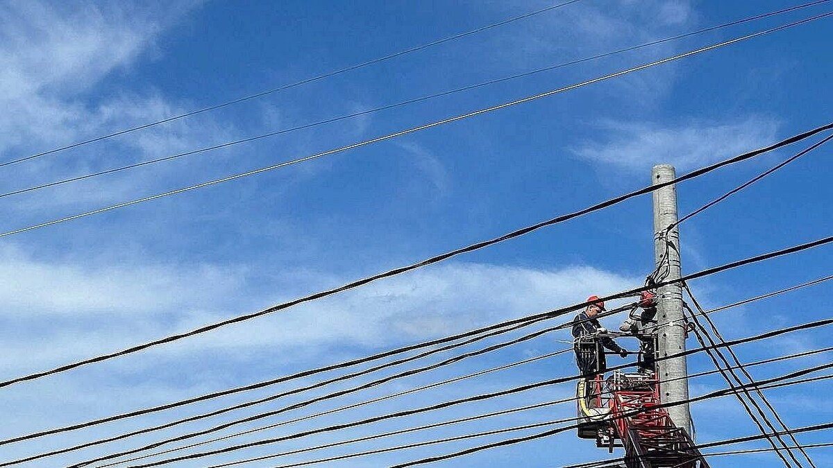    Фото: архив телеканала «Краснодар»