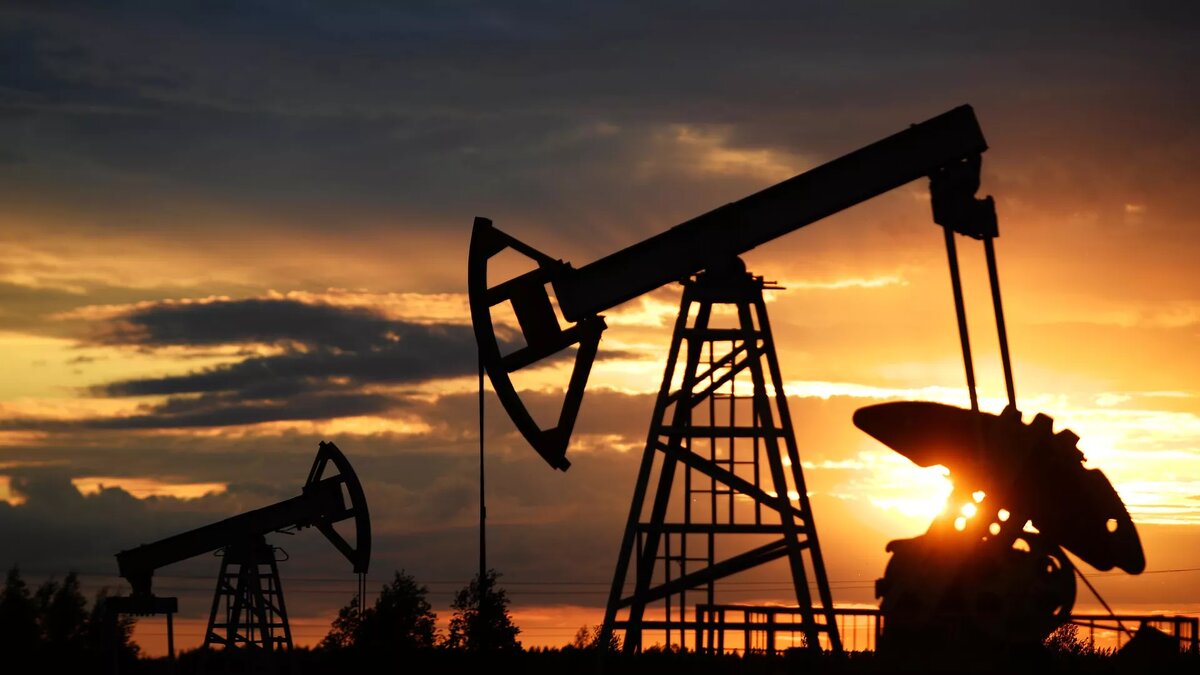 © Sputnik / Максим Богодвид