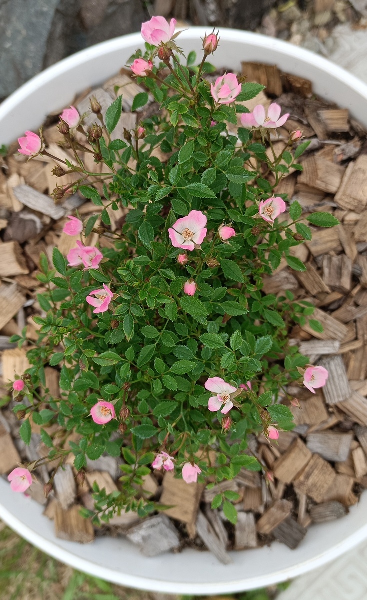 фото Татьяны