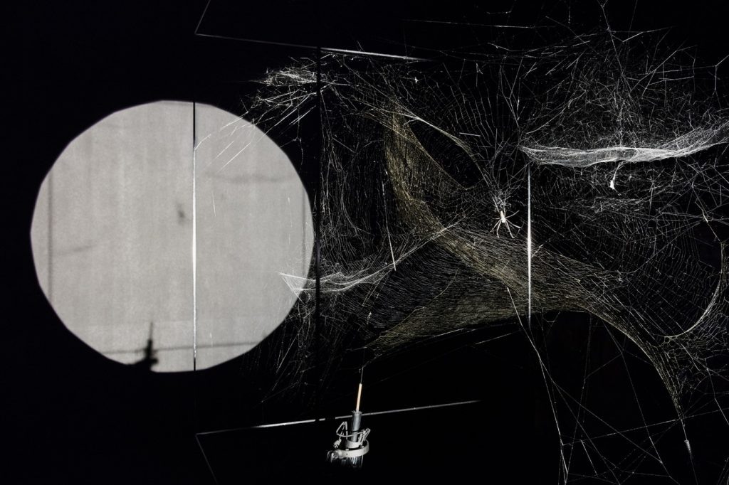 ▪️Томас Сарацено. Проект "Как опутать вселенную паутиной?", 2017, Museo de Arte Moderno de Buenos Aires , Буэнос-Айрес, Аргентина. Куратор Виктория Ноортхорн