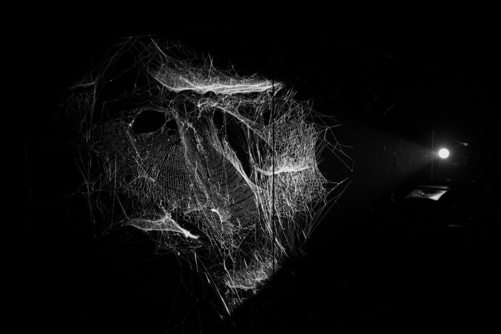 ▪️Томас Сарацено. Проект "Как опутать вселенную паутиной?", 2017, Museo de Arte Moderno de Buenos Aires , Буэнос-Айрес, Аргентина. Куратор Виктория Ноортхорн