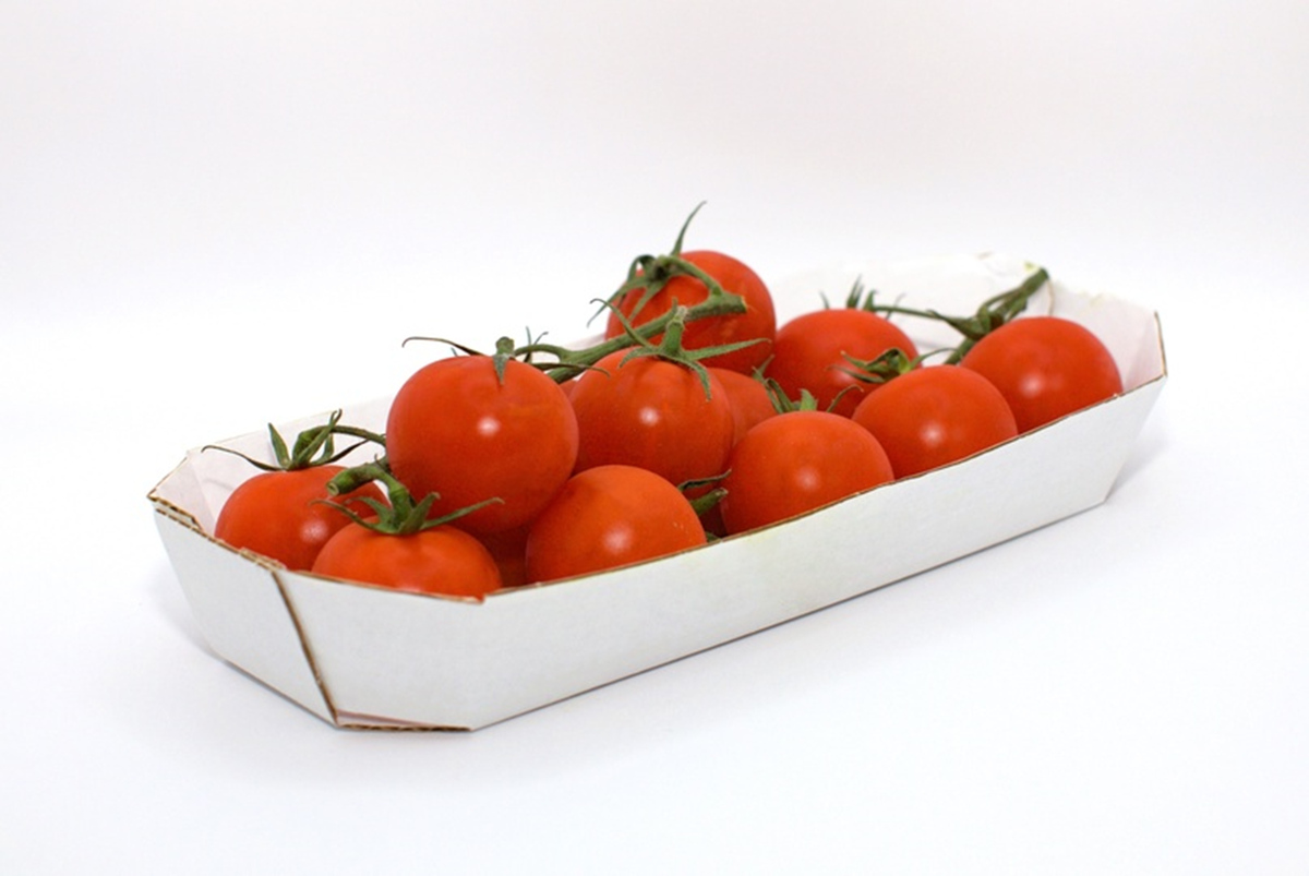 Бумажный лоток (картонная подложка)