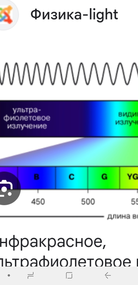 Фото из интернета.