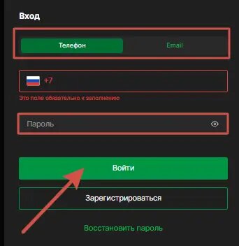    Форма авторизации и кнопка «Войти»