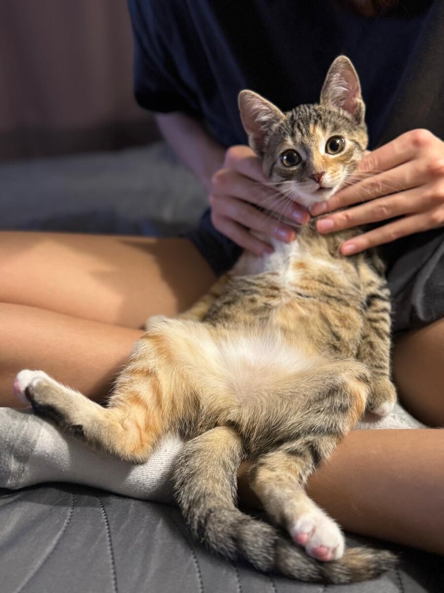 Массаж, теплая ванна, чашка вкусного чая, бокал вина- что вас расслабляет лучше всего?