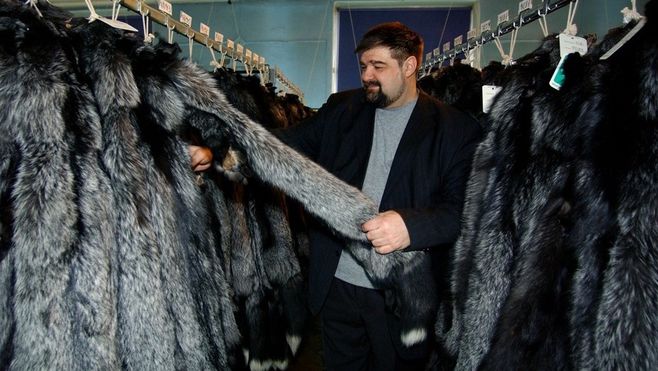    Шкурки лисицы серебристо-черной на пушном аукционе. Автор фото: ИТАР-ТАСС/ Юрий Белинский