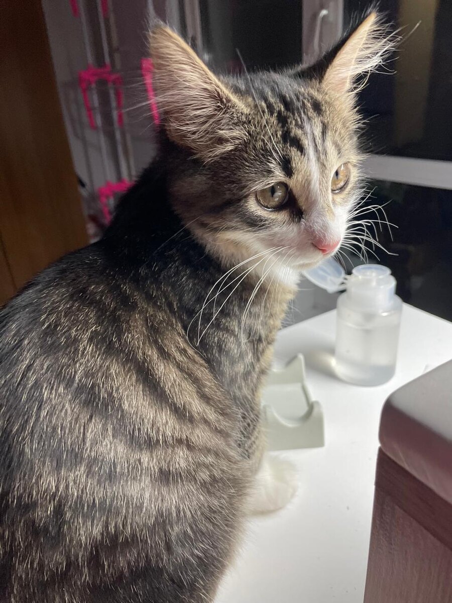 такой маникюр мне нравится))