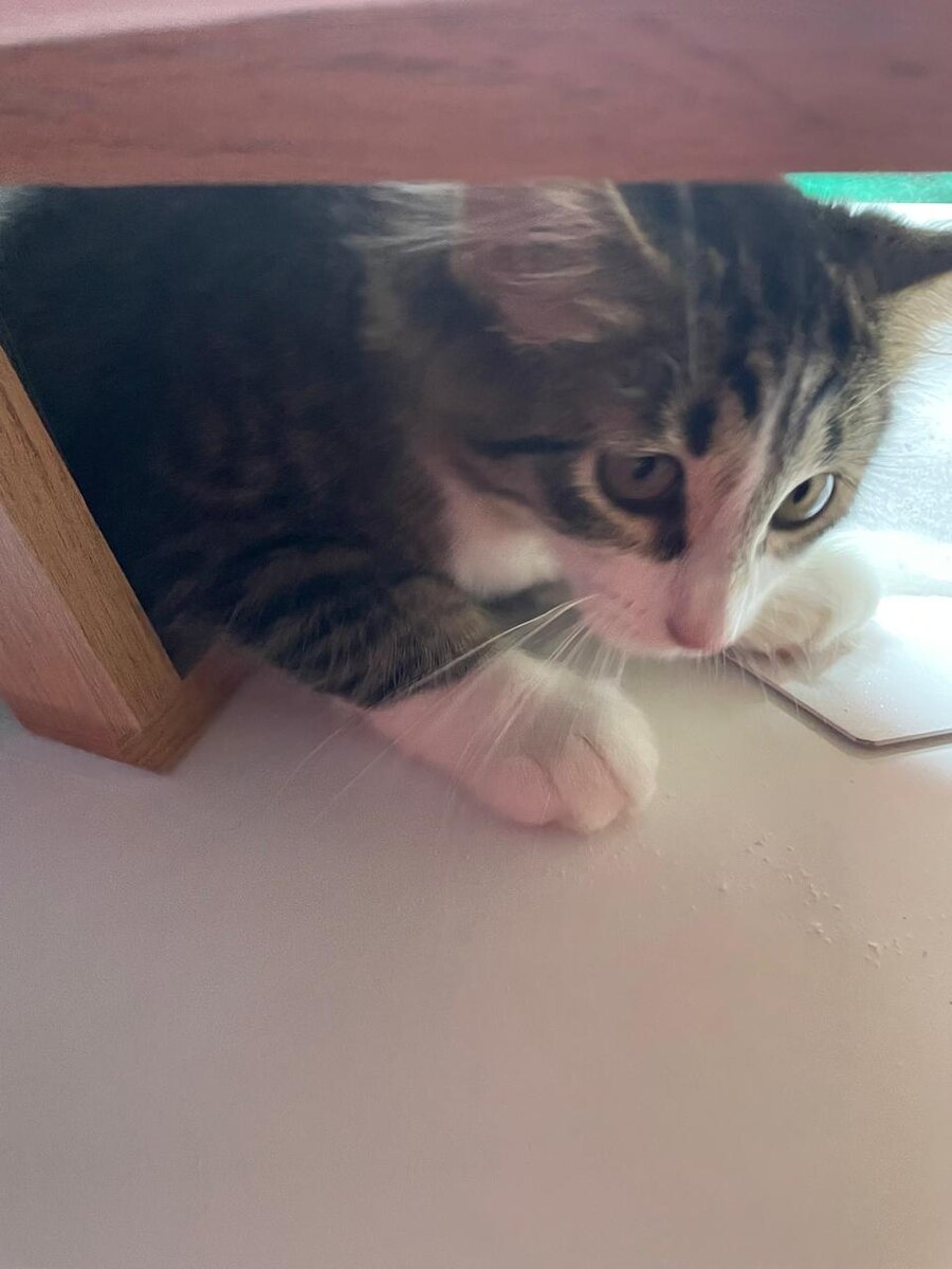 прелесть 🩷