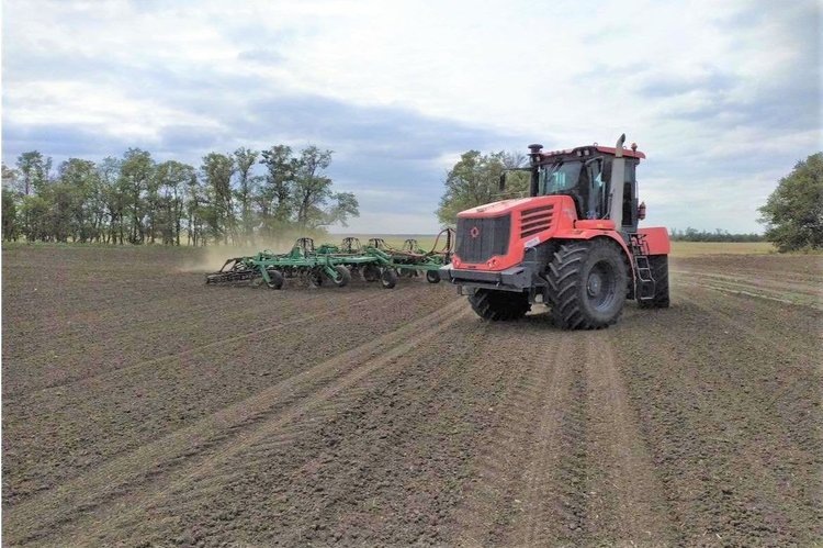    Кубанские аграрии под новый урожай 2025 засеяли 1,8 млн га озимых