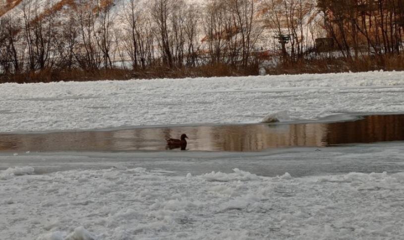    Фото - паблик «Моя Первомайка» ВКонтакте