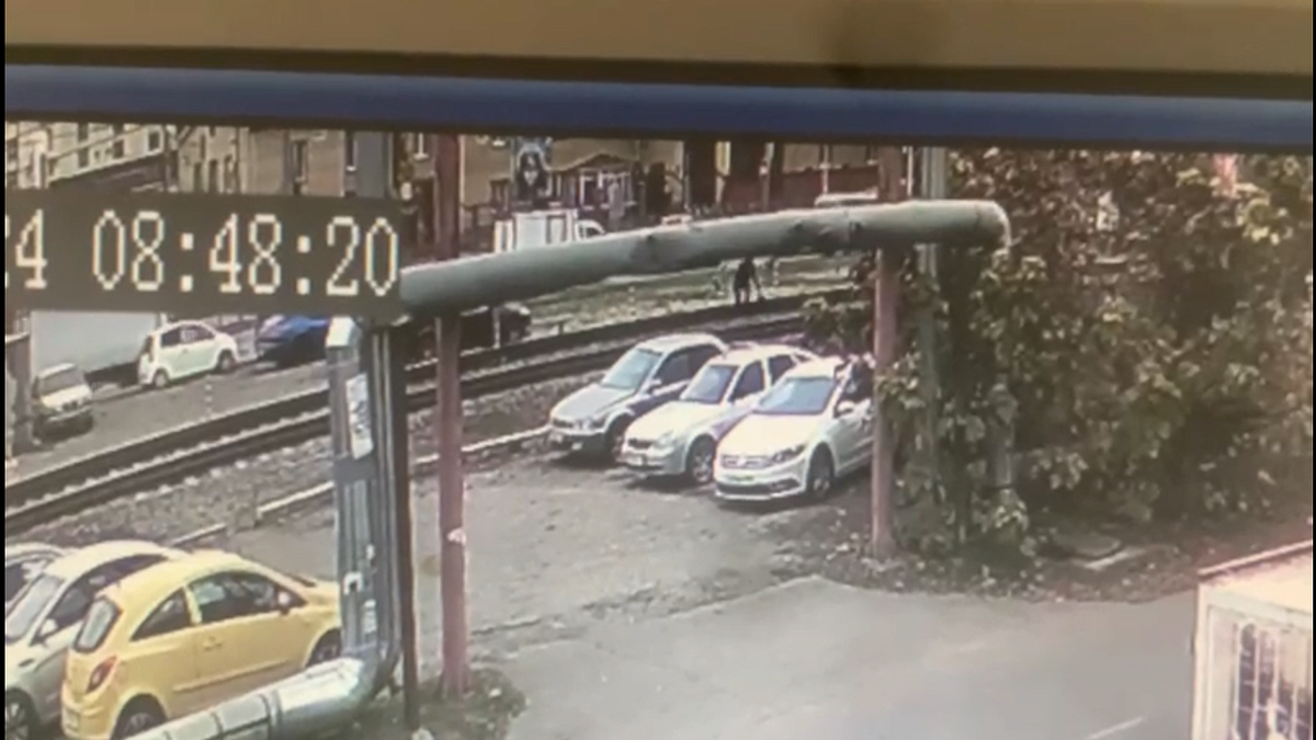    Фото: телеканал «Краснодар»