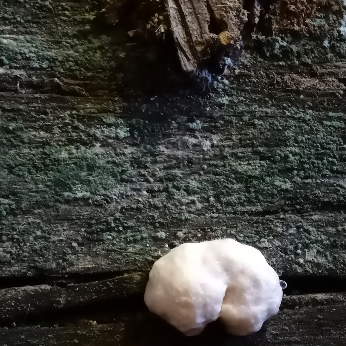 Каждый человек видит мир по своему.