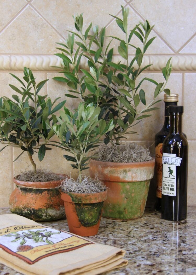 Фото из Яндекса